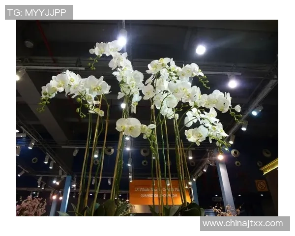 赛后分析:深圳乒乓球队与广州乒乓球队的战术意识与表现对比 赛后分析:深圳乒乓球队与广州乒乓球队的战术意识与表现对比