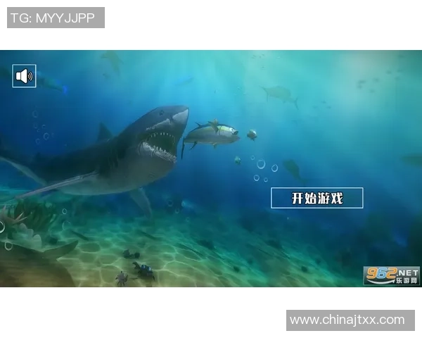 专访黄娜：解密极限运动成功之道