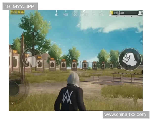 刘丽专访：回顾和平精英历程